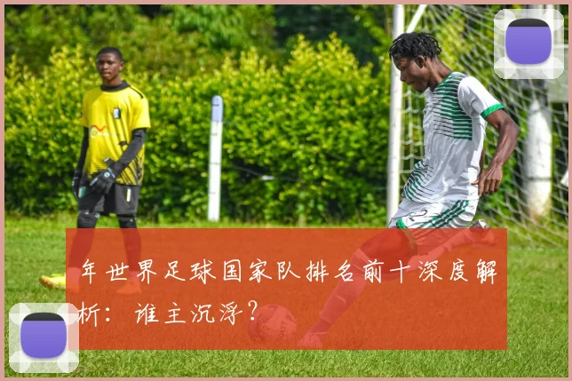 年世界足球国家队排名前十深度解析：谁主沉浮？