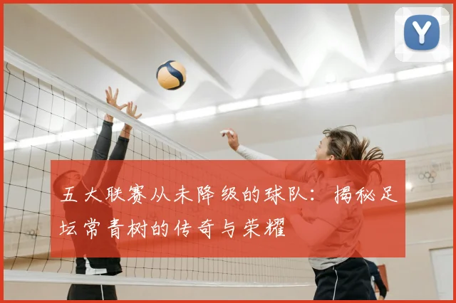 五大联赛从未降级的球队：揭秘足坛常青树的传奇与荣耀